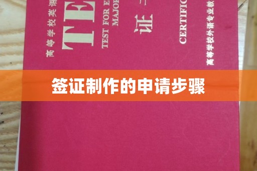 天门签证制作的申请步骤